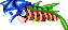 The skeleton shark spitting at you.