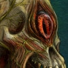 Details of the humanpod portion. The veins and sliminess are just fantastic!