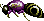 Giant bees