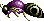 Giant bees