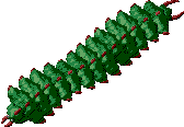 Nicely animated flying caterpillar things.