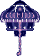 Bigger jellyfish that accompany all the little ones in the sea.