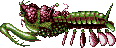 Giant mantis shrimp!!!