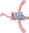 Blue eyes shoot fireballs straight in all directions. The spiny arms damage anything thing touch.