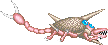 A horned body with the clawed tail.