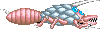 A horned body with the insect-tail.