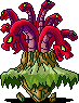 Octorex