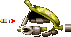 THESE crabs can fly, and they have rocket launchers inside!