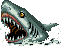Sharks that attack when you fall in the water of the pirate world! Yay sharks!