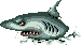 Sharks that attack when you fall in the water of the pirate world! Yay sharks!