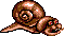 Cute, giant snails!
