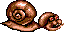 Cute, giant snails!