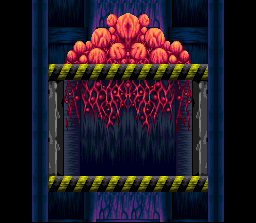 Arachnoid's lair