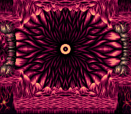 Mini-boss chamber of the final stage.
