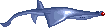 Flying rays encountered in very large schools.