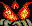 Flowers that crawl back and forth and spit zombie heads at you, three at a time.
