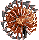 Needle-rats attack by leaping into a ball